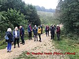 Some Ramblers